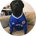 CakhiaTV – trực tiếp bóng đá chất lượng đỉnh cao tại Cakhia 23 Khán giả Chân Đen Sì