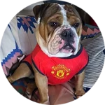 CakhiaTV – trực tiếp bóng đá chất lượng đỉnh cao tại Cakhia 21 Khán giả Đàn Thị Mân Nu