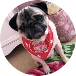 CakhiaTV – trực tiếp bóng đá chất lượng đỉnh cao tại Cakhia 22 Khán giả Lữ Đoàn Cho Đỉm