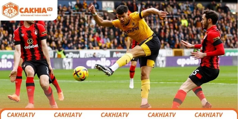 Wolverhampton vs AFC Bournemouth Trận Cầu Tâm Điểm Ngày 31/1 2 Nhận định chi tiết tình hình lực lượng 2 đội Wolverhampton vs AFC Bournemouth